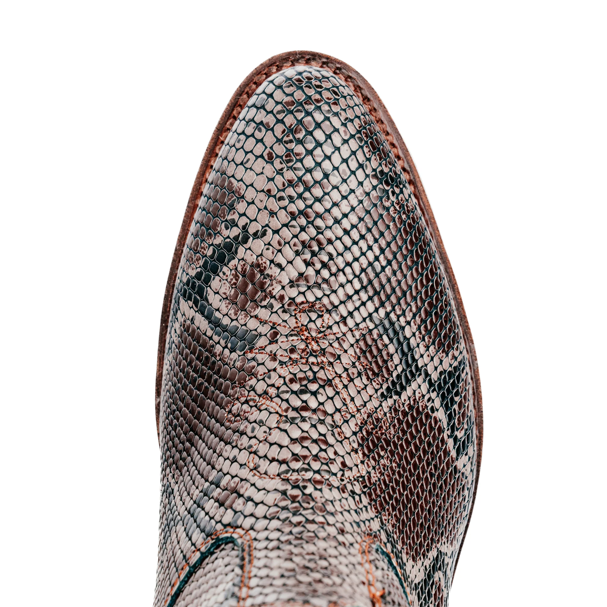 Santa Rosa Brand x Snake Oil Provisions Heartbreaker Boot Brown Snake - Image 9